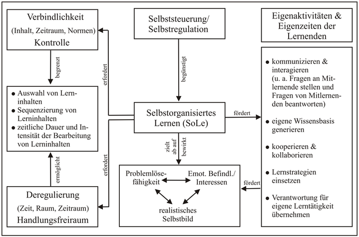 Abb. 1: Förderung von Lernenden in einer selbstorganisationsoffenen Lernumgebung (SEMBILL/ SEIFRIED 2007, 411)