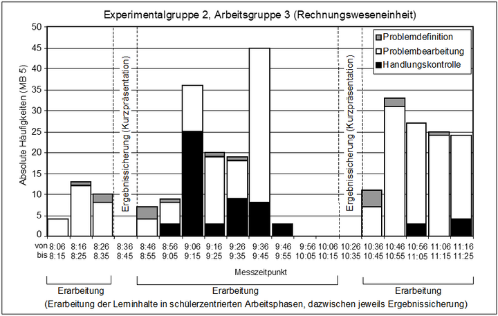 Abb. 4: Problemlöseprozess der Positivgruppe (SEIFRIED 2004, 266)