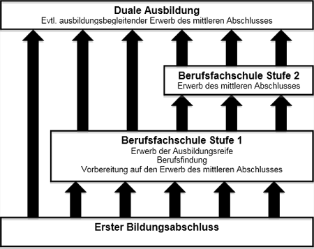 Abbildung 1: Konzept der Gestuften Berufsfachschule