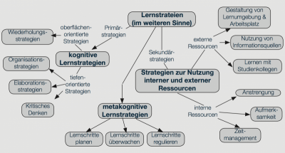 Abbildung 1: Lernstrategieklassifikation nach Wild/Schiefele (1994; aus: Wild 2005, 194).