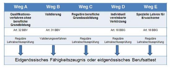 Abbildung 1: Übersicht über fünf Wege für Erwachsene (Quelle: Grafische Darstellung nach Wettstein/Neuhaus 2011, In: KEK-CDC Consultants 2011)