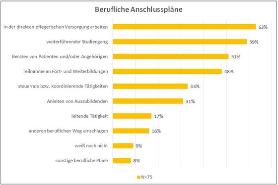 Abbildung 2: Berufliche Anschlusspläne