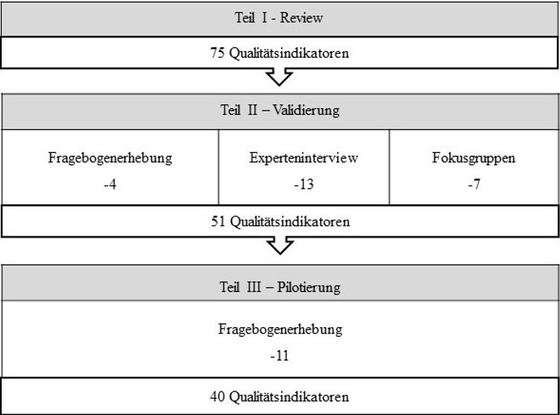 Abbildung 2: Übersicht Selektion der Qualitätsindikatoren