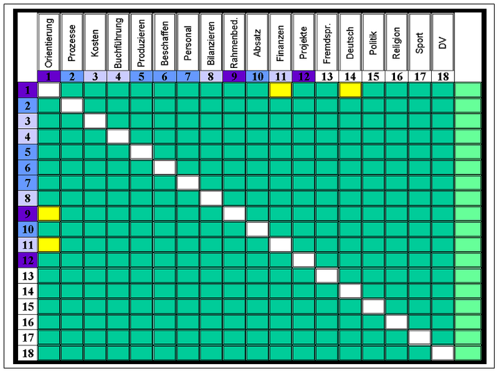 Abb. 6: Bildungsgang-Matrix als Visualisierung