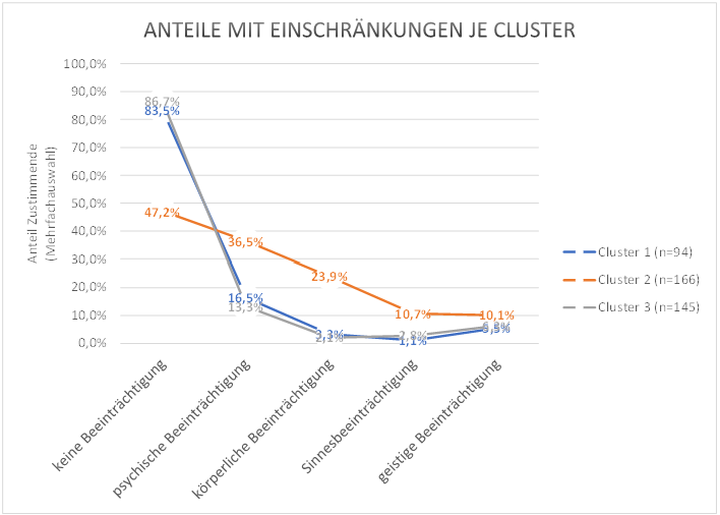 Abbildung 6: Anteile an Personen mit unterschiedlichen Einschränkungen je Cluster