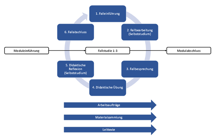 Abbildung 3: Didaktische Struktur der Fallstudienbearbeitung (eigene Darstellung)