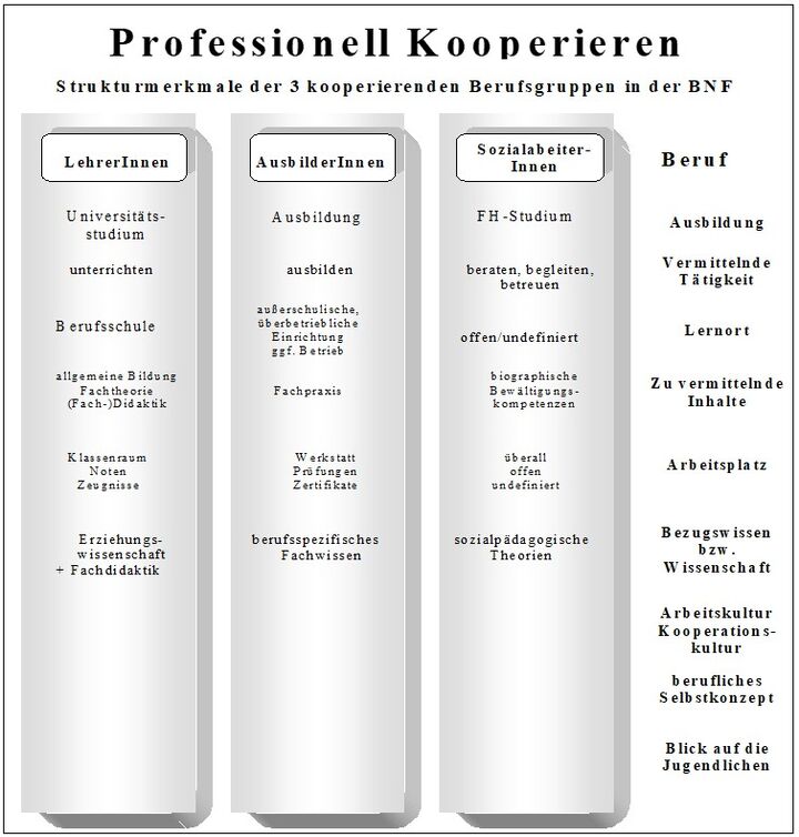 Abb. 1: Professionalisierungsdilemma in der Benachteiligtenförderung