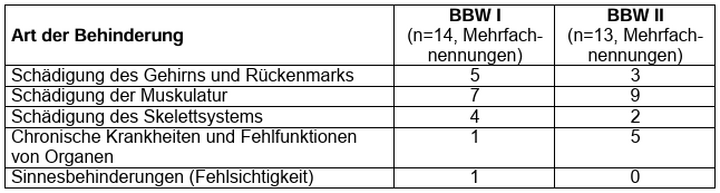 Abb. 6: Angaben zu den Behinderungen der Auszubildenden