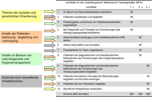 Abbildung 3: Synopse der curricularen Analyse (in Anlehnung an Tramm 2007)