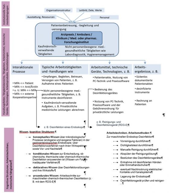 Abbildung 5: Domänenmodell für den Ausbildungsberuf MFA mit exemplarisch ausdifferenzierten kognitiven Anforderungen im Handlungsbereich „Labordiagnostik und Hygienemanagement“ (in Anlehnung an Seeber et al. 2016)