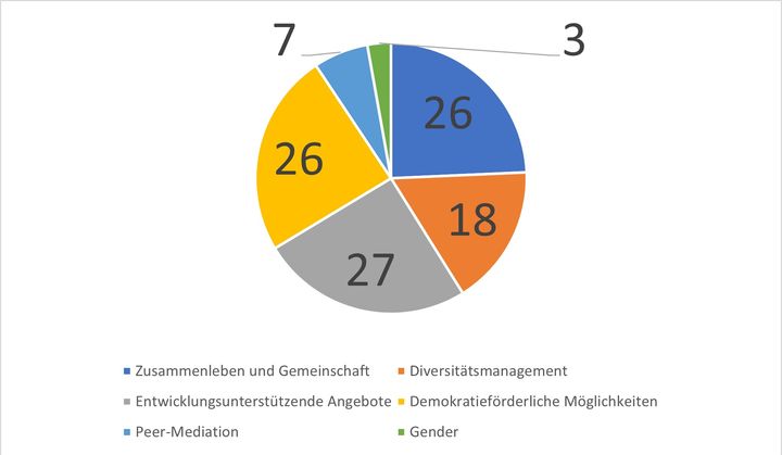 Abbildung 3: Verteilung der Nennungen zur Kategorie Diversitätsmanagement