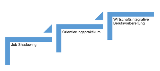 Abbildung 2: Stufenmodell der Trialen Berufsfeldvorbereitung