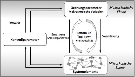 Abbildung 1: Grundmodell der Synergetik (in Anlehnung an Strunk/Schiepek 2006)