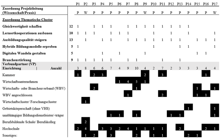 Tabelle 1:     Verbundstrukturanalyse inkl. Zuordnung zu Programmzielen (eigene Darstellung in Anlehnung an Projektanträge)