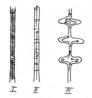 Abbildung 1: Formen von Lehrgängen (Wagenschein 1991, 30)